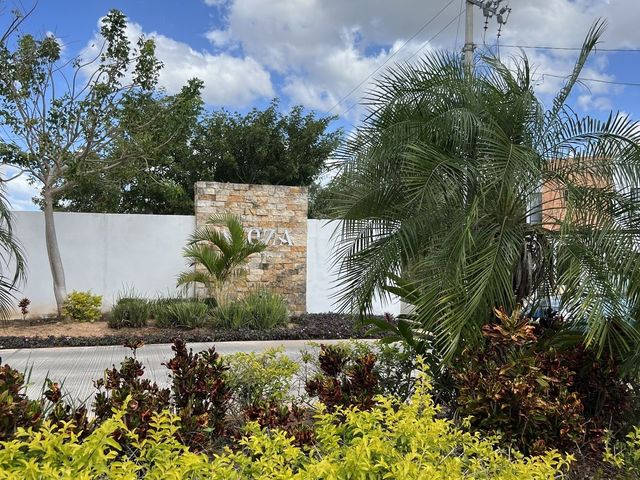 place photo 36