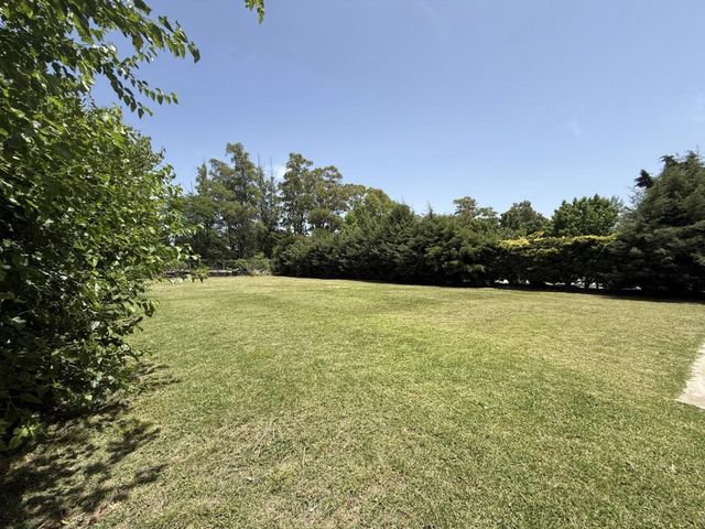 place photo 42