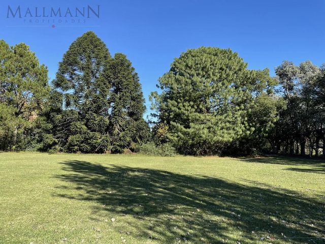 place photo 63