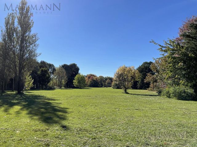 place photo 57