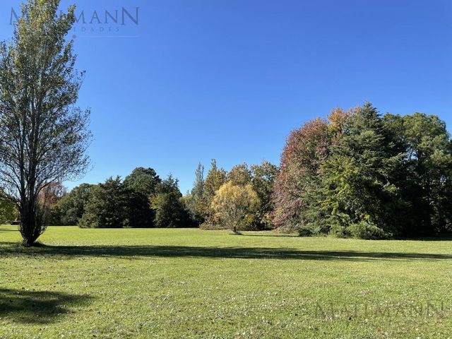 place photo 61