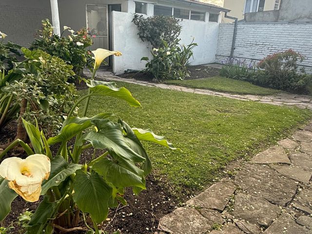 place photo 35