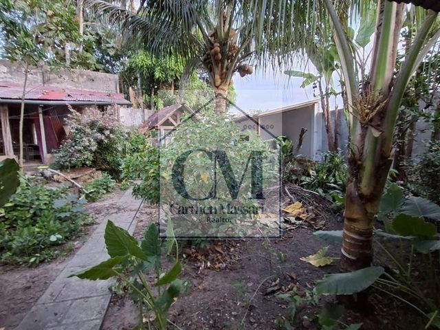 place photo 37