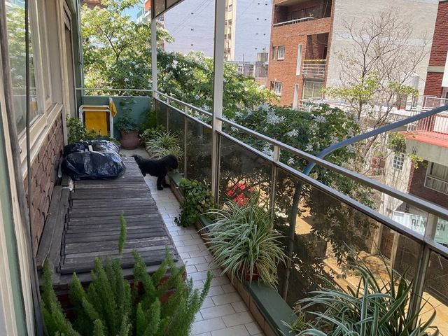 place photo 32