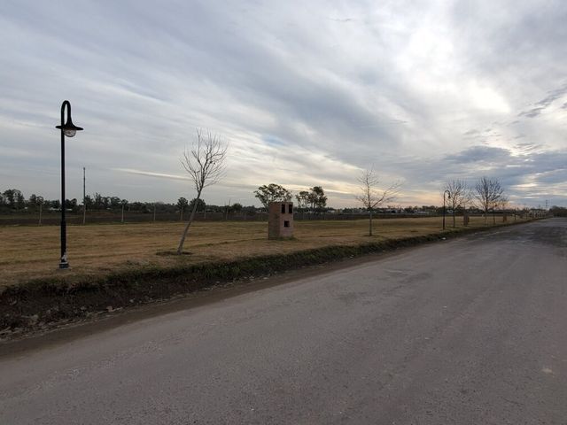 place photo 28