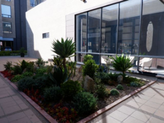 place photo 19