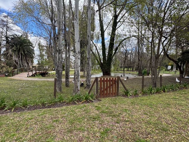 place photo 44