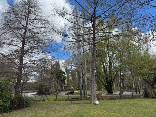 place photo 42