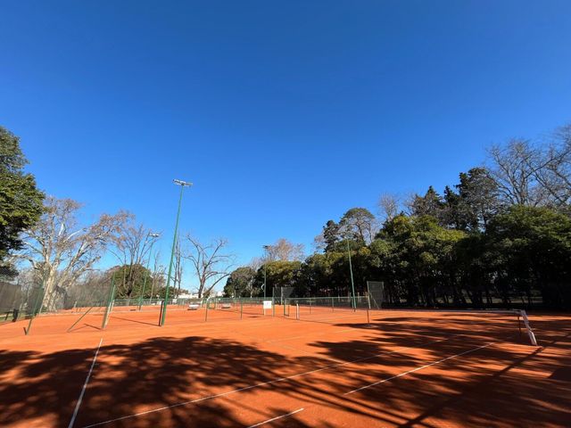 place photo 45
