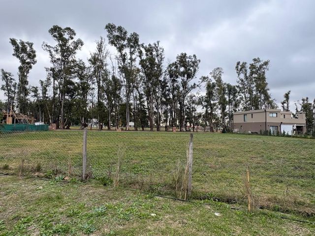 place photo 45