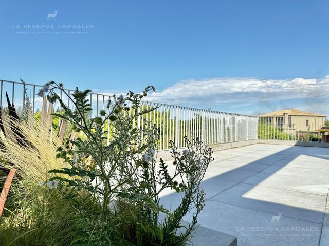 place photo 56
