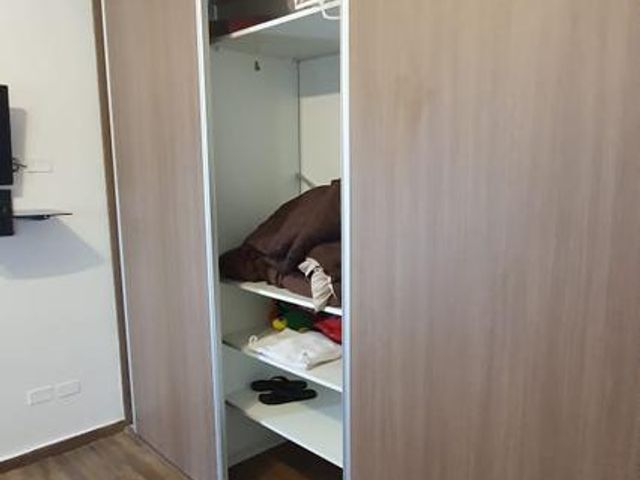 place photo 39