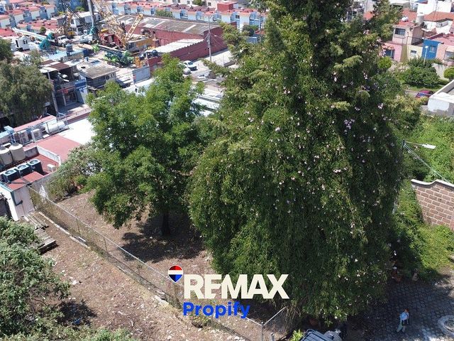 place photo 17