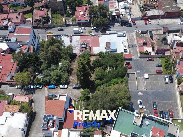 place photo 16