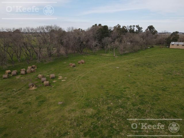 place photo 13