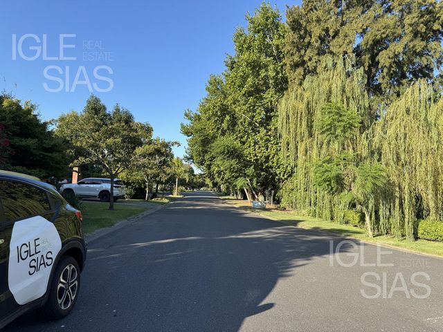 place photo 32