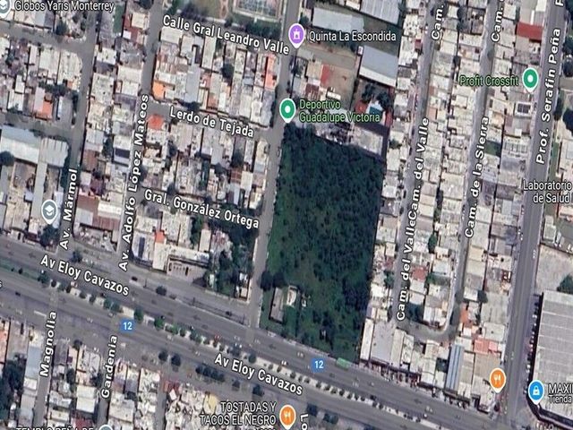 place photo 3