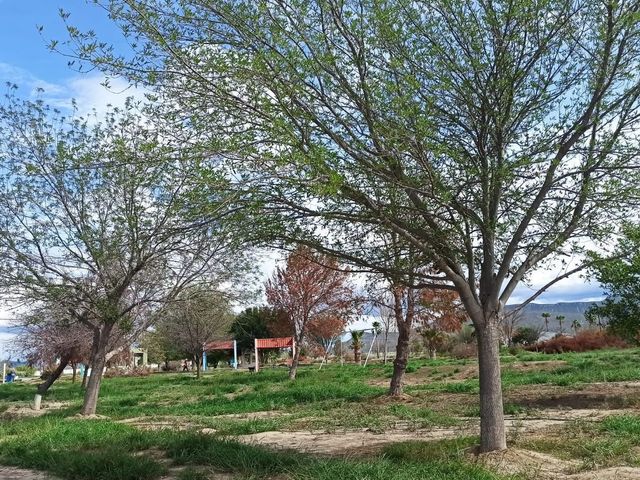 place photo 25