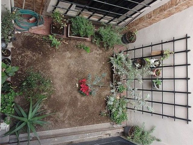 place photo 21