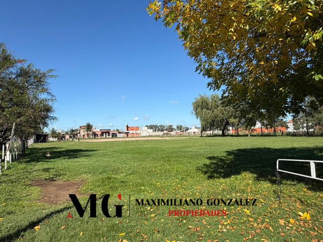 place photo 17