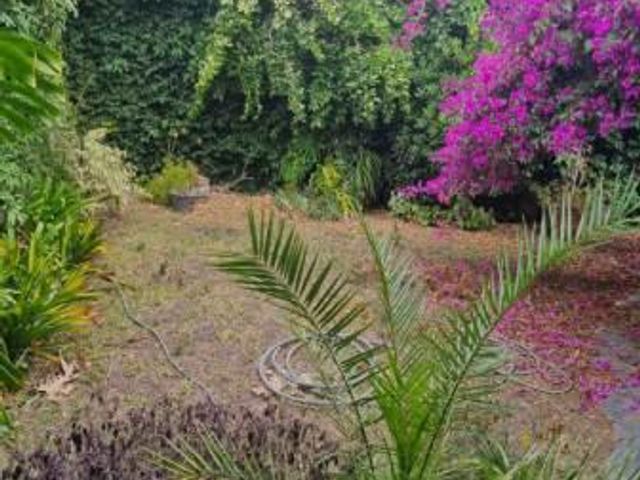 place photo 31