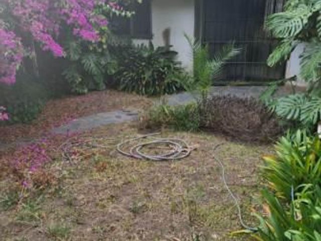 place photo 34