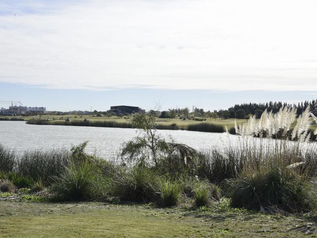 place photo 49