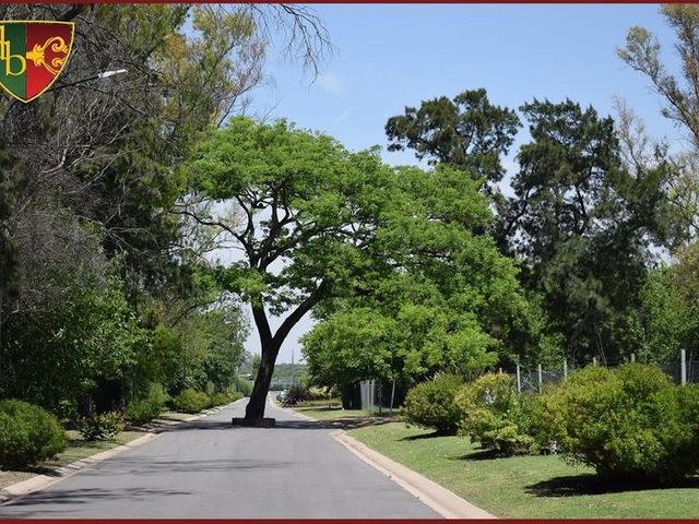 place photo 71