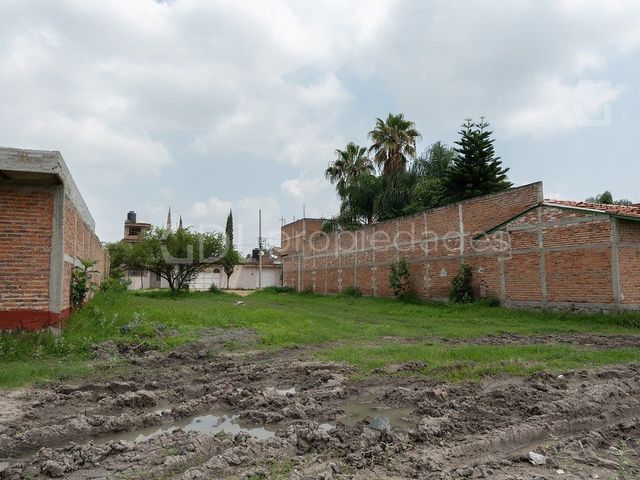 place photo 30