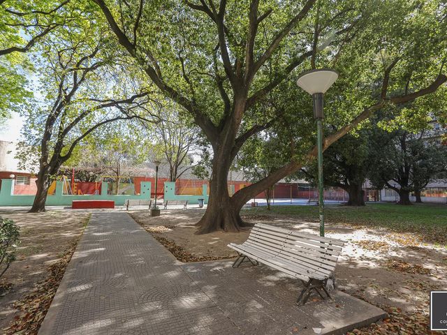 place photo 40