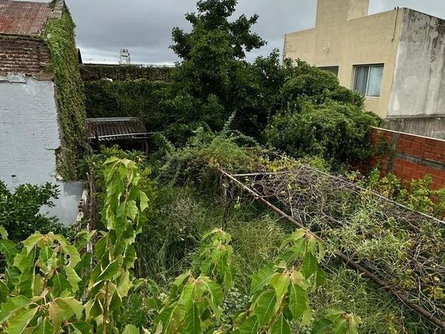 place photo 20