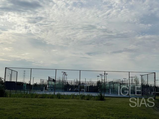 place photo 27