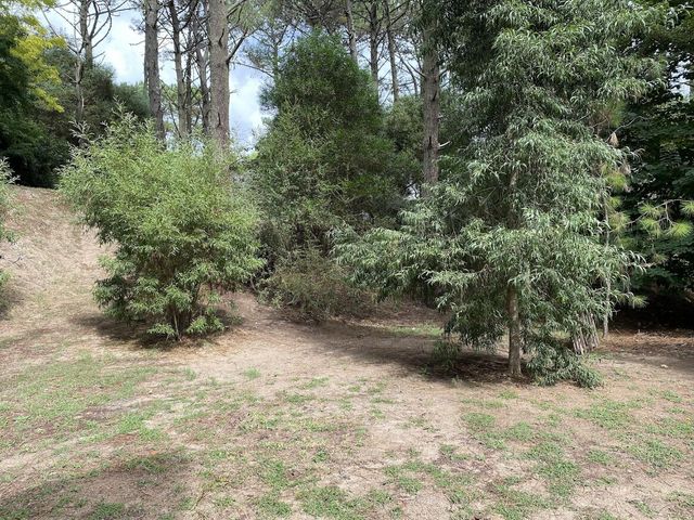 place photo 28