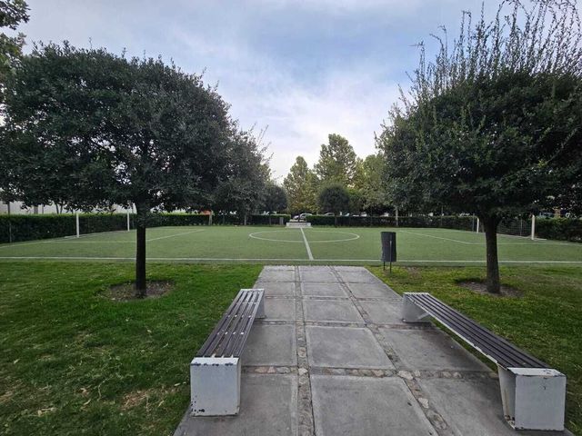 place photo 34