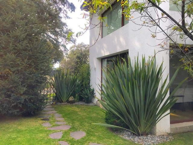 place photo 39
