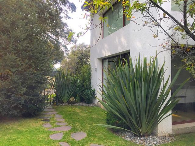 place photo 41