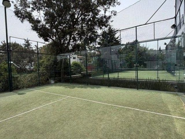 place photo 38