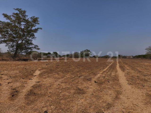 place photo 16