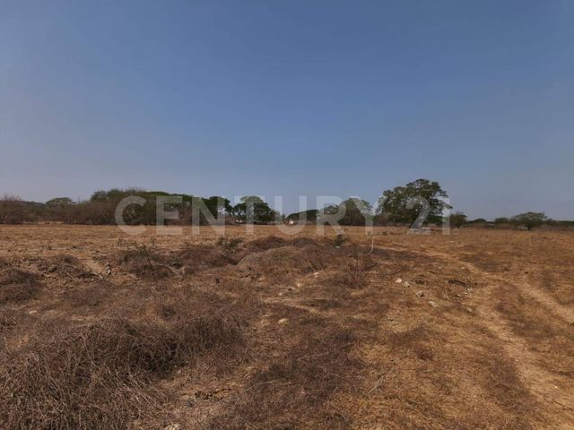 place photo 22