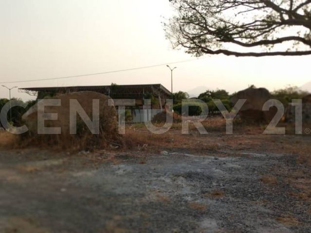 place photo 12