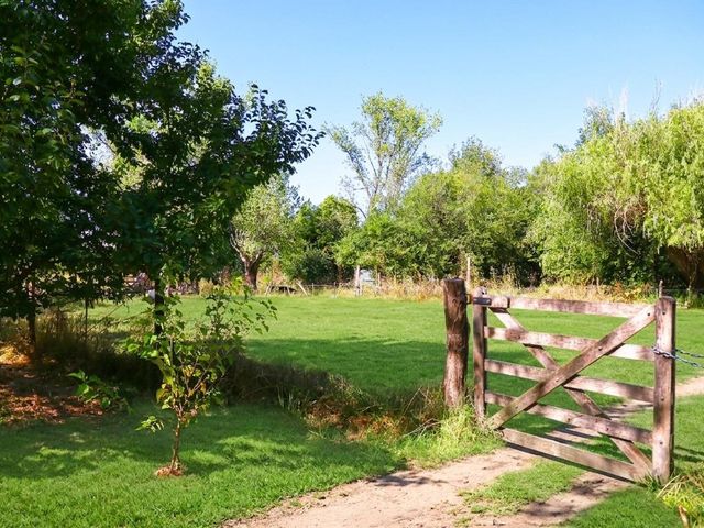 place photo 16