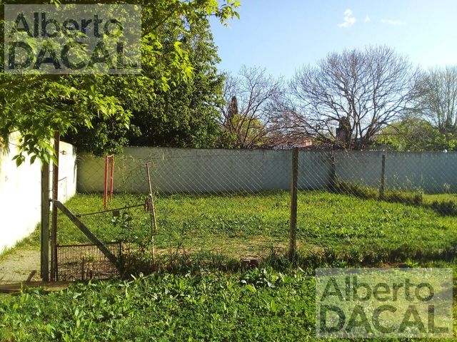 place photo 32