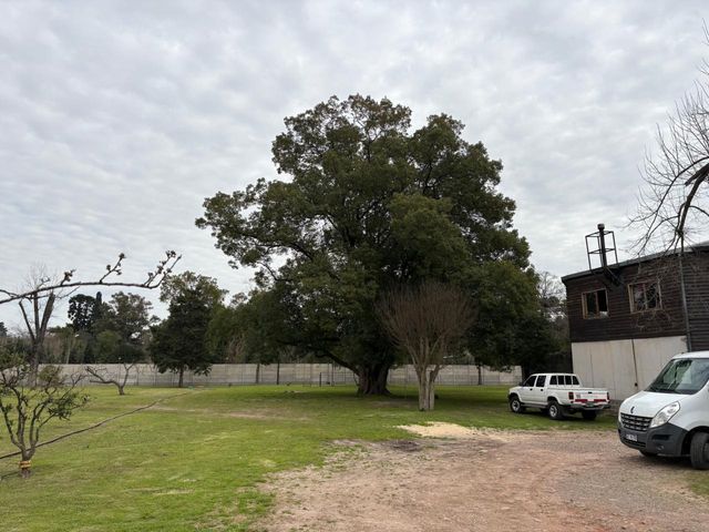 place photo 46
