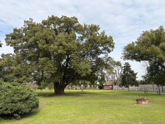 place photo 21