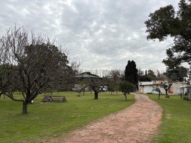 place photo 44