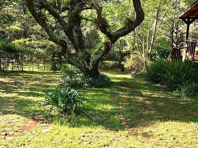 place photo 48