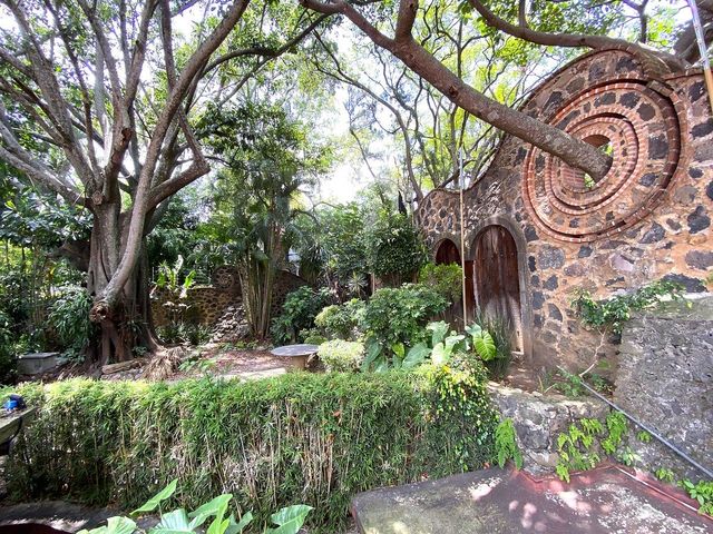 place photo 36