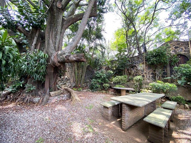 place photo 41