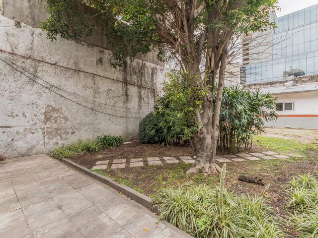 place photo 46
