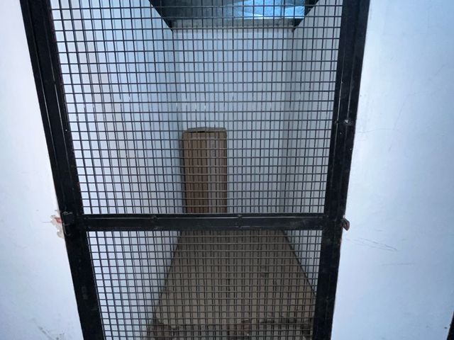 place photo 27